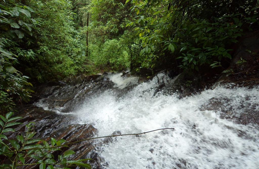 Marg Stream Valley Vythiri Exterior foto