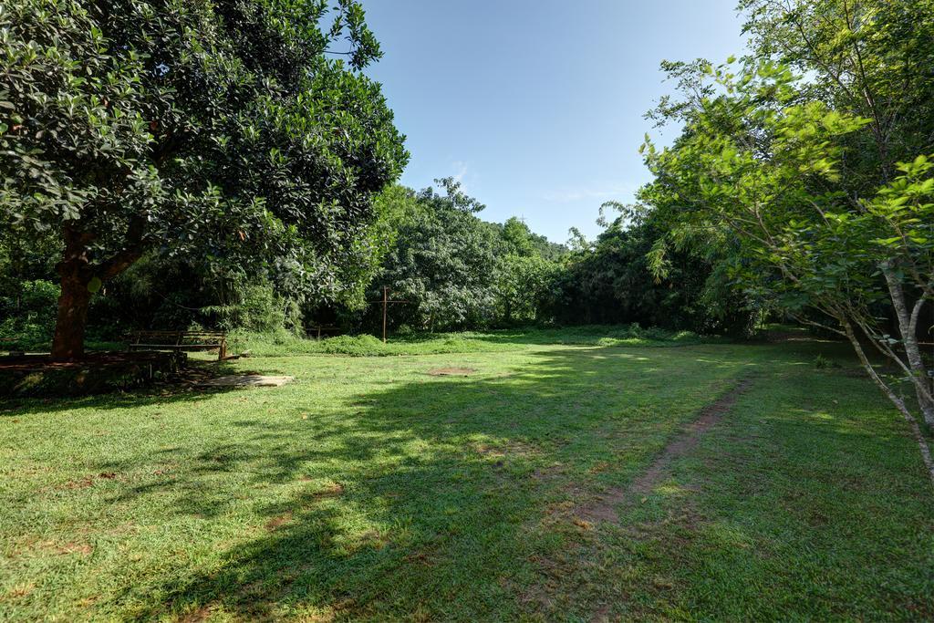 Marg Stream Valley Vythiri Exterior foto