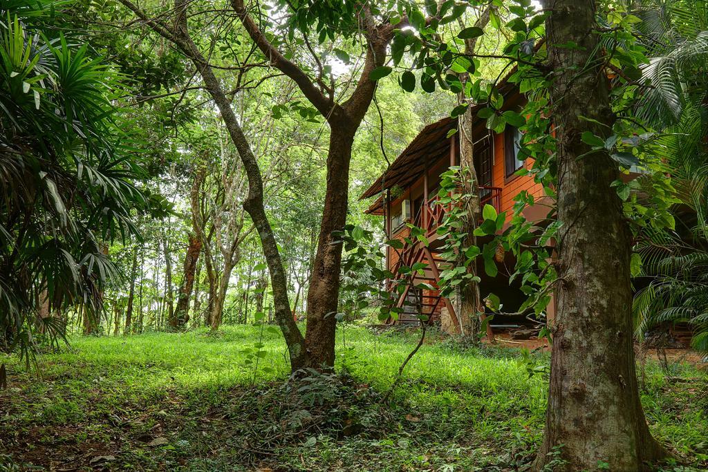 Marg Stream Valley Vythiri Exterior foto